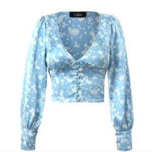 Baby Blue long sleeve romantic top
